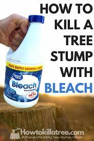 Stumps as large as 66 to 76 cm (26 to 30 in) sprouted 40 percent of the time, however, with an average of eight sprouts per stump. Killing Tree Stumps With Bleach Does It Work Backyardables