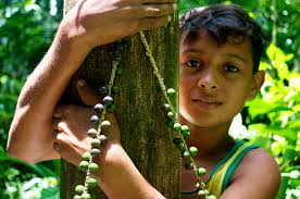 Débat sur les paysages pour redynamiser les négociations climat de l'ONU à  Varsovie