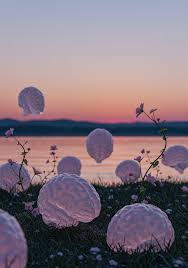 jelly bean brains nudes | BasedLabs.ai