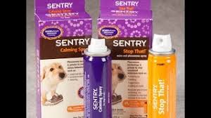 Stop That Dog Spray Review Youtube