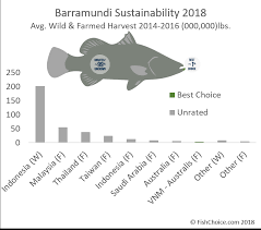 Barramundi Fishchoice