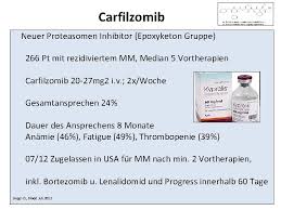 Prosome, macropain, proteasome, 20s proteasome, 20s proteosome, macroxyproteinase. Wohin Geht Es Mit Dem Multiplen Myelom Ein