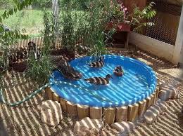 Kiddie Pool For Ducks Love The Wood And Rocks Duck Coop Chickens Backyard Duck Pond