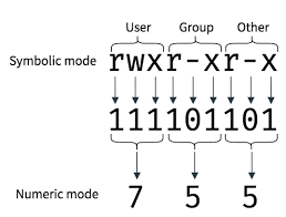 An Introduction To Linux File Permissions Boolean World