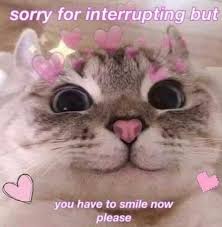 Nov 04, 2020 · don't make such spelling mistakes in among us, you'll wind up dead. 27 Wholesome Memes To Give You A Dose Of Serotonin Let S Eat Cake