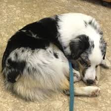 Ella Mortimer (for7morts)