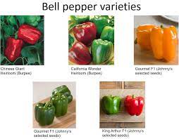 We did not find results for: Https Www Uog Edu Resources Files Extension Bell Pepper 8 16 Final Pdf