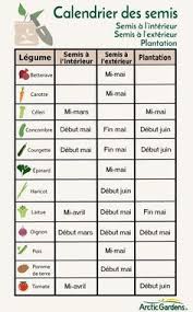 Les Erreurs De Jardinage Potager Domestique Calendrier Des Semis Et Jardins