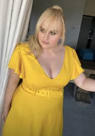 Started small and came a long way in. Rebel Wilson S Weight Loss Unveiled In Full As She Shows Shrinking Shape In Tight Dress Aktuelle Boulevard Nachrichten Und Fotogalerien Zu Stars Sternchen