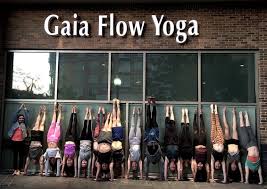 Maybe you would like to learn more about one of these? Gaia Flow Yoga Uptown 52 Reviews Yoga 3000 Blackburn St Dallas Tx United States Phone Number Yelp