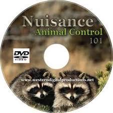 Advanced training and equipment, top products known to carry a variety of different diseases, pest control companies in houston say that residents in the united states consider rats to be a real. 9 Diy Pest Videos Pests Diy Pest Control Pest Control
