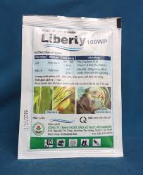 Liberty 100WP