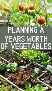 The Family Garden Plan Home Vegetable Garden Family Garden Vegetable Garden Design