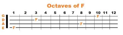 Mastering The Fretboard Bass Guitar Notes Simplified
