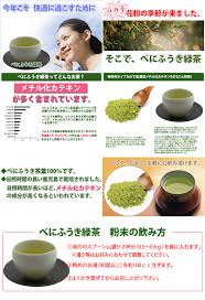べにふうき茶粉末 100g 約200杯分 を税込 送料込でお試し サンプル百貨店 株式会社ライフェスト