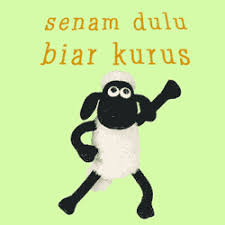 Pin Di Humor