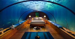 Check spelling or type a new query. 9 Underwater Hotels That Will Let You Sleep With The Fishes