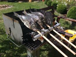 Dorade Auf Dem Grill Nach Art Eines Steckerlfisch Verwendet Wurde Ein Thurosgrill Mit Einem Steckerlfischhalter Von Steckerlfisch Thuros Grill Grill Bauen