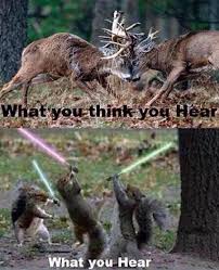 So True One Time A Big Fox Squirrel Dashed Between Some Trees On A Ridge And Man After A Long Morning Sit Deer Hunting Humor Funny Hunting Pics Hunting Humor