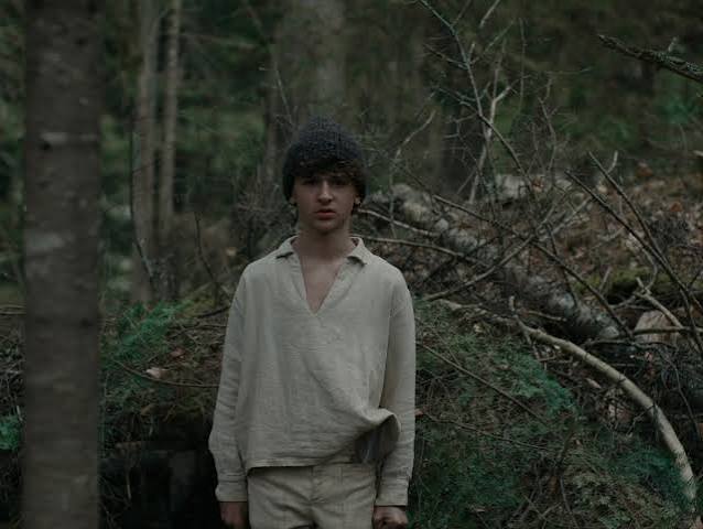 The Boy in the Woods review – boys' own tale of Holocaust fugitive forced  to fend for himself | Movies | The Guardian