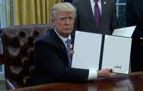Executive Order Trump Blank Template Imgflip
