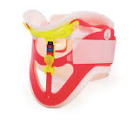 Extrication Cervical Collar Wizloc® Preformed Pediatric / Adult One Size  Fits Most One-Piece / Trachea Opening 7 Inch Height 27 Inch Length – Used  to ...