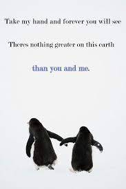 You And Me Penguin Love Quotes Penguin Quotes Penguin Love