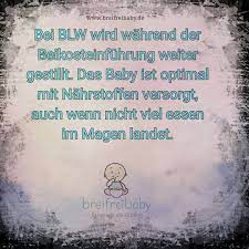 Baby Led Weaning Kritik Wie Gefahrlich Ist Blw Wirklich