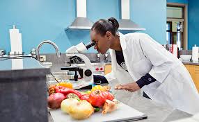 Numerous universities offer food science degrees in the united states and internationally. Food Science Degree Mount Mary University