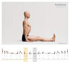 As an isometric, whole body exercise without movement, it directly improves your sitting posture. Dandasana Staff Pose Ashtangayoga Info
