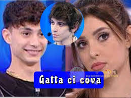 Alex Credo's Instagram, Twitter & Facebook