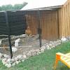 One of your weekly jobs as a chicken coop owner is to keep it clean. 1