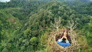 Hasil gambar untuk coban bidadari