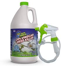 A vinegar that is high in acetic acid. 8 Best Weed Killers For Lawns Comparison Reviews 2021 Cg Lawn