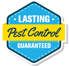 Find local 20 carpet cleaners in central coast. Carpet Cleaning Sunshine Coast Pest Control Services Sunshine Coast