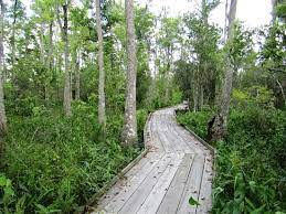 Maybe you would like to learn more about one of these? Unbedingt Hin Jean Lafitte National Historical Park And Preserve New Orleans Reisebewertungen Tripadvisor