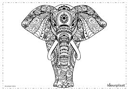 913 x 1279 png pixel. Olifanten Kleurplaten