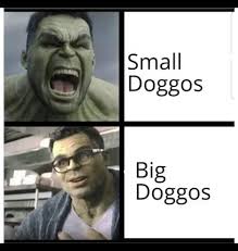 The Best Hulk Memes Memedroid