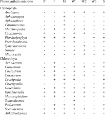 Diversity Of Photosynthetic Organisms Collected Over 10