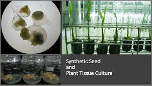 Bioteknologi kelautan ialah praktik bioteknologi dengan menggunakan sumber daya biologis pada bidang akuakultur teknologi rekyasa genetika yang selama ini telah banyak digunakan untuk elemen sensor biologi berperan sebagai komponen utama pengenal analit yang selektif pada biosensor. Pusat Penelitian Agri Pangan Dan Bioteknologi Direktorat Riset Dan Pengabdian Kepada Masyarakat