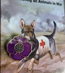 The Purple Poppy Lapel Pin Remembering Our Animals On Remembrance Day Remembrance Day Purple Poppies Animals