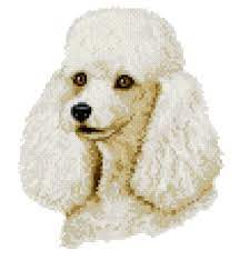 We did not find results for: White Poodle Cross Stitch Pattern By Crosstitch Com Crosstitch Com