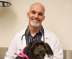 Osteosarcoma occurs most often in the long bones of the arms and treatment for osteosarcoma. New Procedure Fights Cancer In Dogs Today S Veterinary Practice