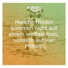 Ein hund tut uns schön, aber der katze müssen wir schöntun. Pin Auf Edogs Informationen Rund Um Den Hund