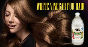 Get The Scoop On White Vinegar For Hair Before You Re Too Late Lewigs First shampoo your hair to make the scalp free from dirt and grime. get the scoop on white vinegar for hair