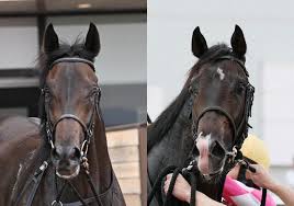 News source: Yahoo!ニュース