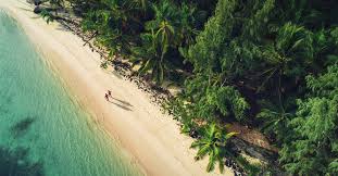 Check spelling or type a new query. Is Dominican Republic Safe Warnings You Need To Know Smartertravel