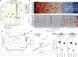 The key to curing some types of cancer is early diagnosis and treatment. Passenger Mutations In More Than 2 500 Cancer Genomes Overall Molecular Functional Impact And Consequences Sciencedirect