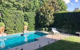 I had never heard of this tree before researching for our pool, but i'm so glad i found it! Plant What Where Poolside Plantings Warners Nurseries