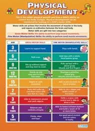 S Physical Development L I C E Physical Development Child Development Stages Child Development Activities